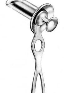Rectum