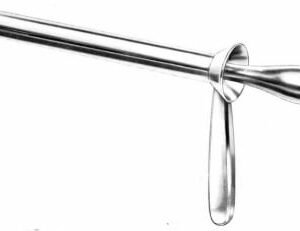 Rectum