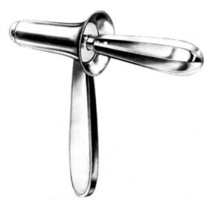 Rectum