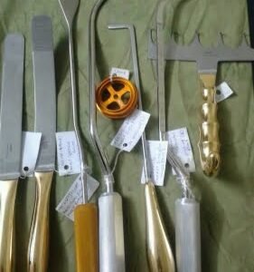 Leposuction Canola