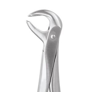 LOWER MOLAR No. 73E