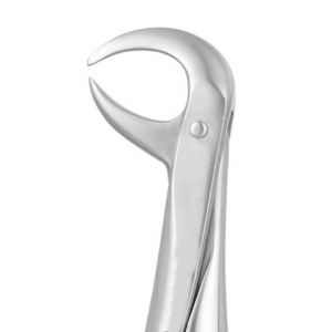 LOWER MOLAR No 86 C