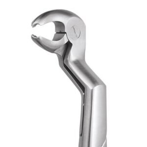 LOWER MOLAR & WISDOM LEFT