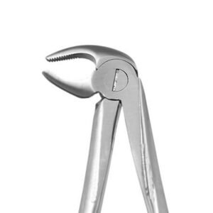 LOWER PREMOLAR No 13 E