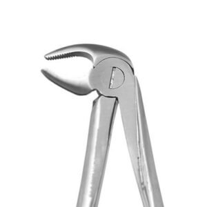 LOWER PREMOLAR No 13 PV