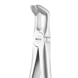 LOWER THIRD MOLAR