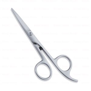 Economy Hair Scissors