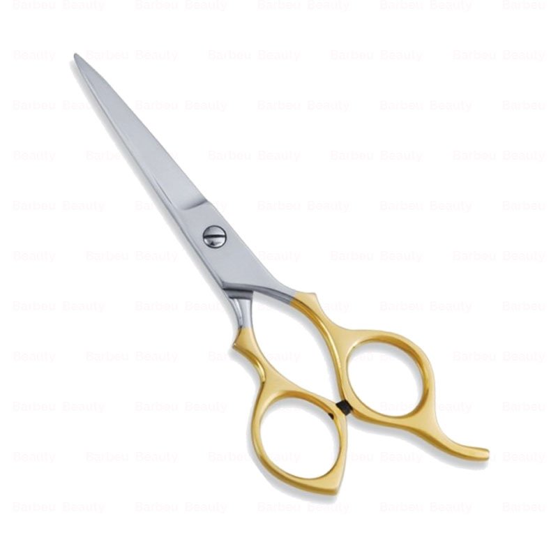 Economy Hair Scissors