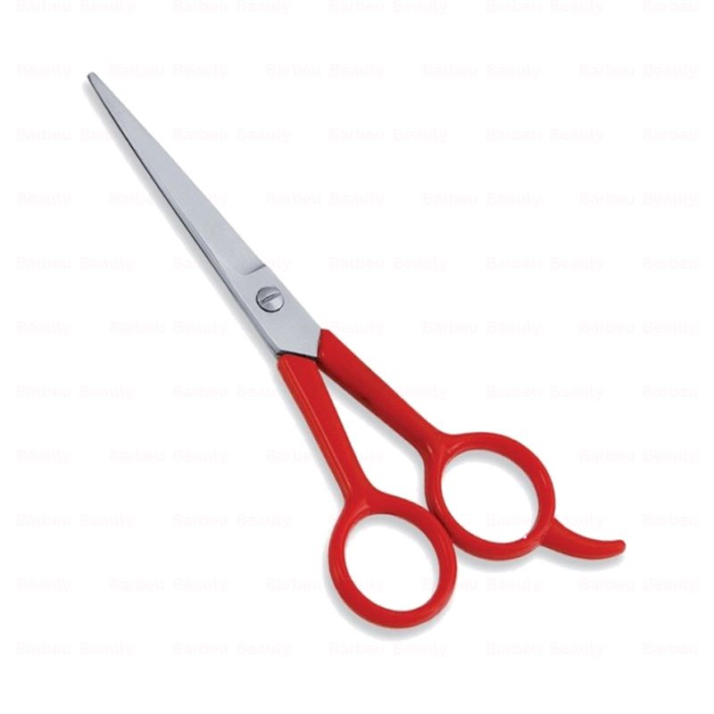 Economy Hair Scissors