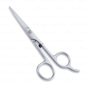 Economy Hair Scissors
