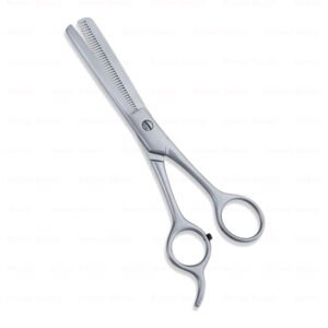 Economy Hair Scissors