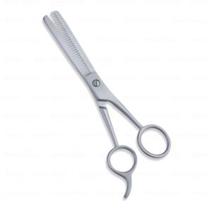 Economy Hair Scissors