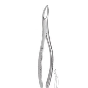 UNIVERSAL UPPER ROOT