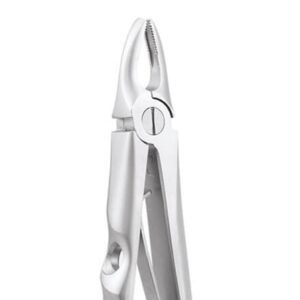 UPPER ANTERIOR