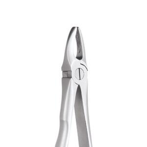 UPPER ANTERIOR NO 1 E
