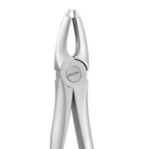 UPPER CENTRALS CANINES