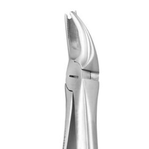 UPPER MOLAR LEFT No 90