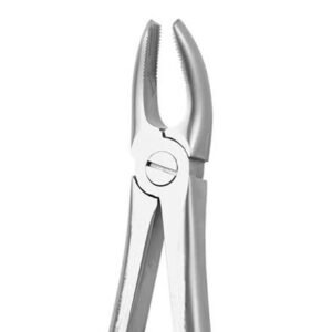 UPPER MOLAR RIGHT NO 17 E