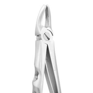 UPPER PREMOLAR