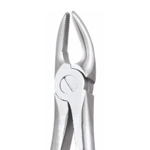 UPPER PREMOLAR No 7 E