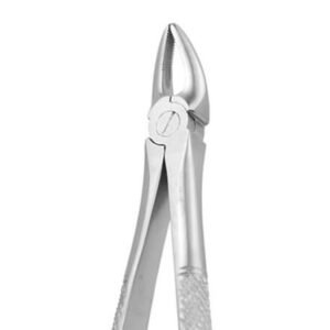 UPPER ROOT No 30 S