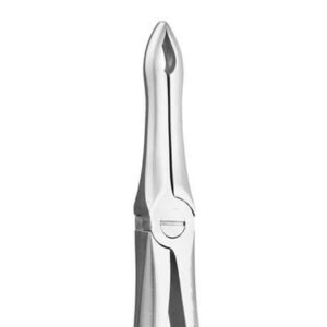 UPPER ROOT No 41 S