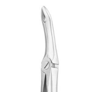 UPPER ROOT No 44 P