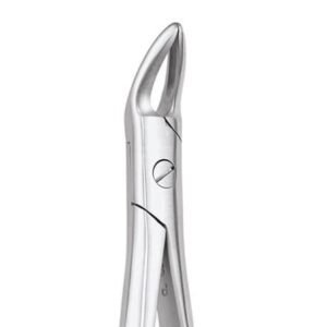 UPPER ROOT No 76 N
