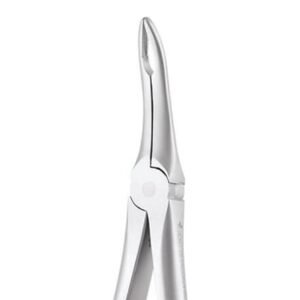 UPPER ROOT No 849 00