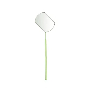 Professional Eyelash Lighted Oval Cosmetic Mirror Long Handle Stainless Steel Frame Single Personal Use Convenient